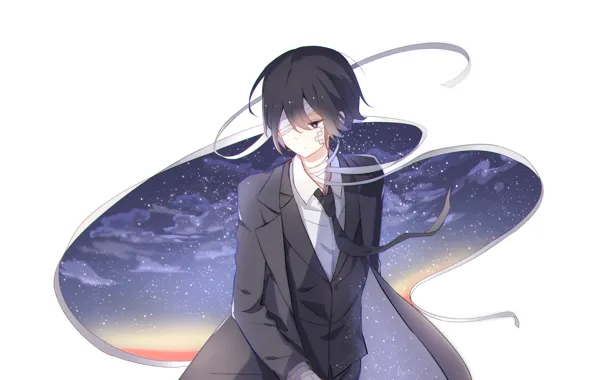 Anime, boy, art, Bungou Stray Dogs, Stray Dogs: A Literary Genius, Dazai Osamu