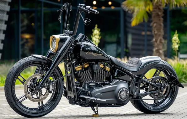 Picture Front, Harley-Davidson, Tuning, Softail, Customized, Fat Boy, Thunderbike, Custombikes