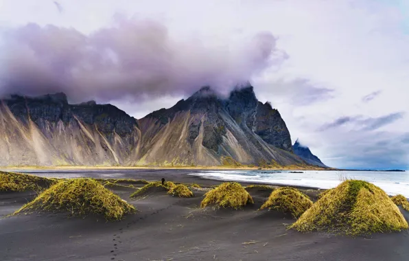 Beach, grass, clouds, landscape, mountains, nature, Iceland, the fjord