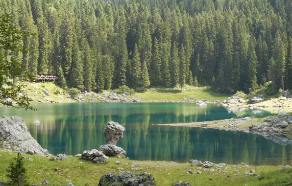 Nature, Lake, Forest, Stones, Spruce, Italy, Lake Carezza