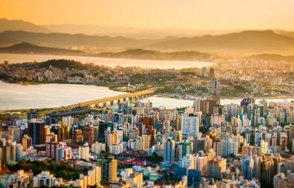 Bridge, South Korea, tilt shift, capital, South Korea, Single