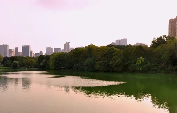 USA, skyline, trees, panorama, New York, Manhattan, NYC, New York City