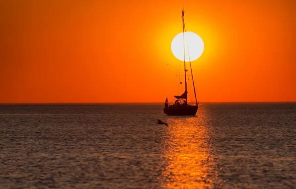 Picture the sun, sunset, yacht