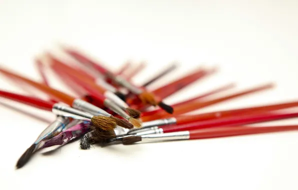 Macro, background, brush