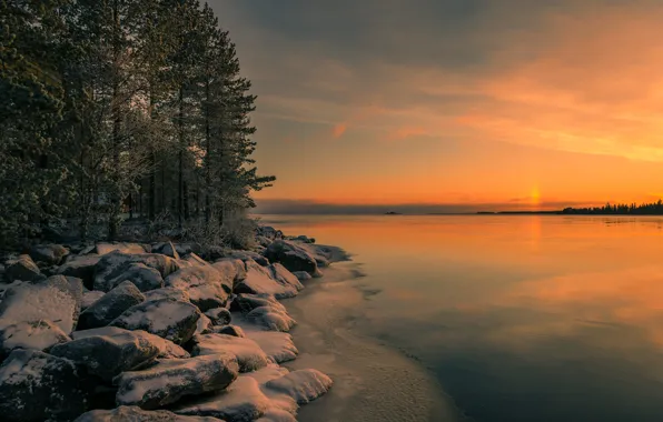 Winter, forest, the sky, snow, trees, sunset, lake, stones