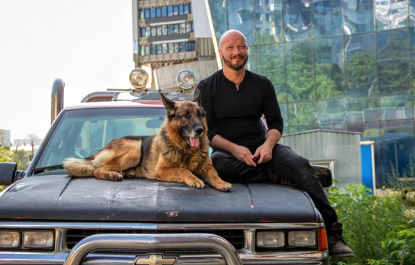 Machine, dog, the series, shepherd, Dog, Nikita Panfilov, Max Maximov