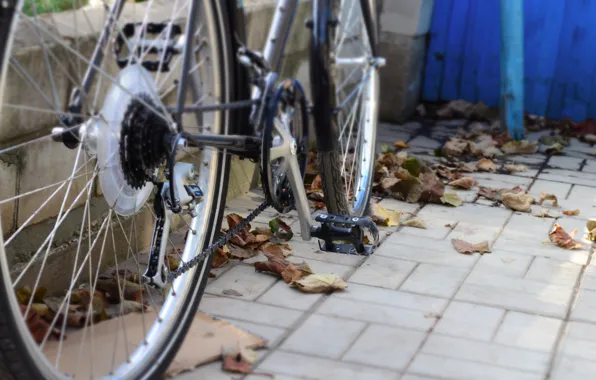 Leaves, bike, tile, the sidewalk
