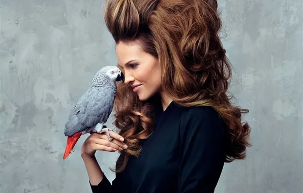 Picture hairstyle, parrot, chic, Hilary Swank