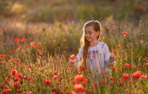 Maki, girl, Russian, embroidery, poppy field, Russian style, Slavic appearance