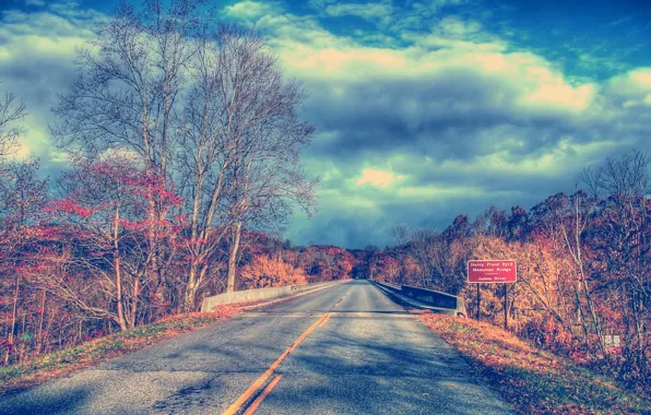 Road, the sky, leaves, clouds, trees, landscape, branches, nature