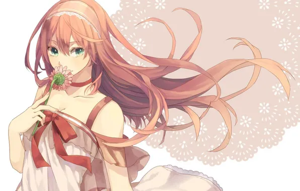 Picture flowers, pattern, red, bow, green eyes