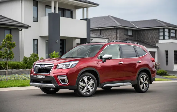 Picture Subaru, Forester, 2020, Hybrid S
