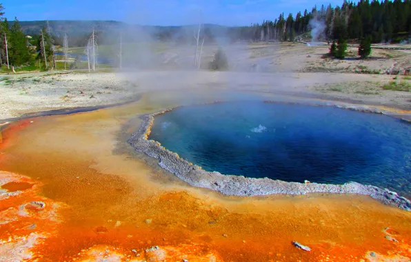 The sky, trees, lake, couples, USA, geyser, Yellowstone national Park