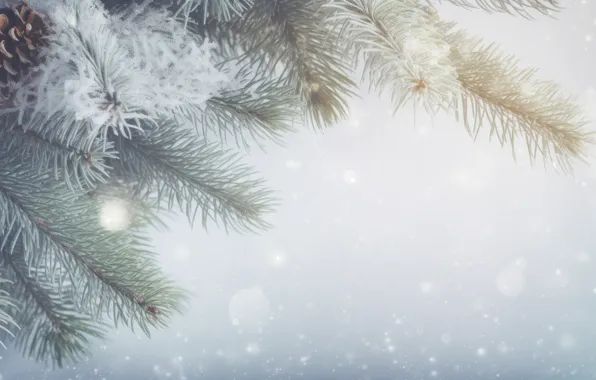 Winter, frost, snow, branches, nature, fog, spruce, Christmas