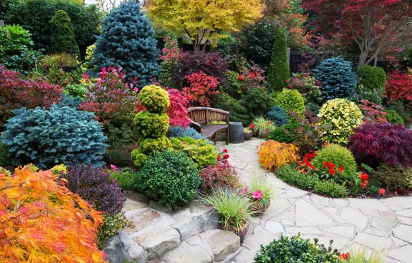 Trees, flowers, bench, design, England, garden, the bushes, Walsall Garden