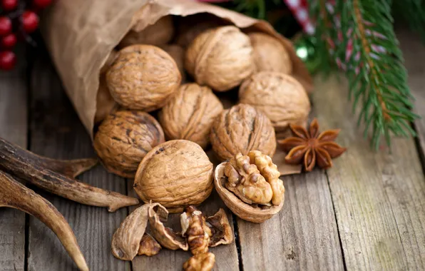 Sprig, nuts, walnut, star anise, Anis, Christmas