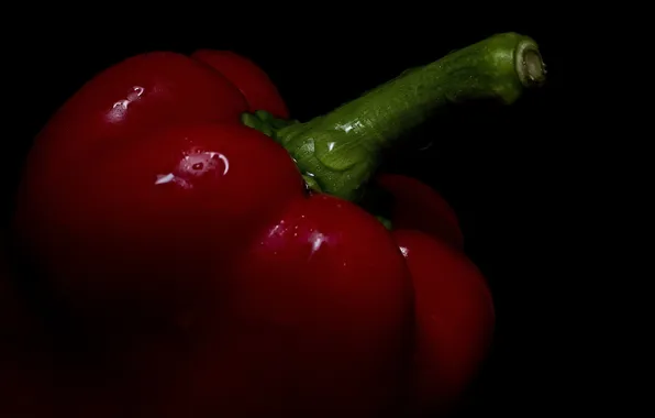 Drops, red, background, dark, pepper, sweet