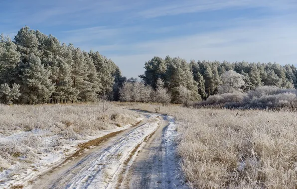 Frost, road, field