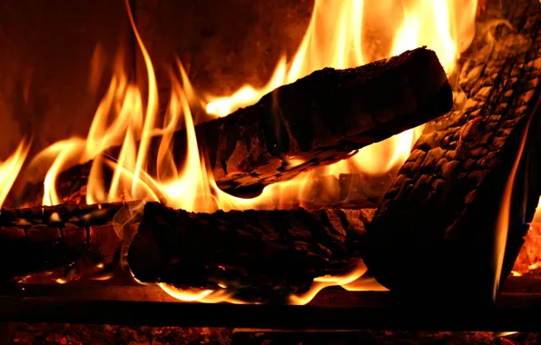 Heat, tree, fire, the fire, wood