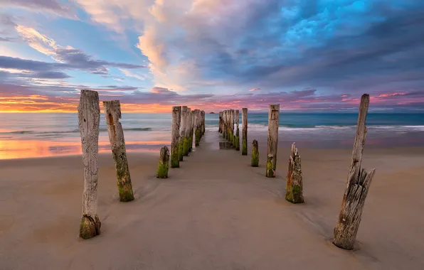 Picture sea, beach, clouds, posts, morning, New Zealand