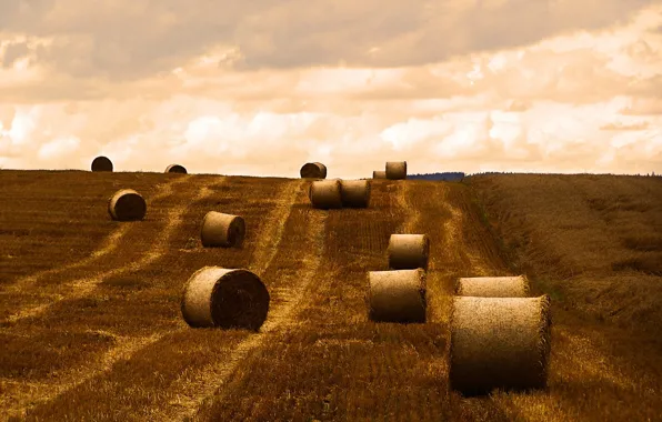 Picture autumn, Field, cleaning