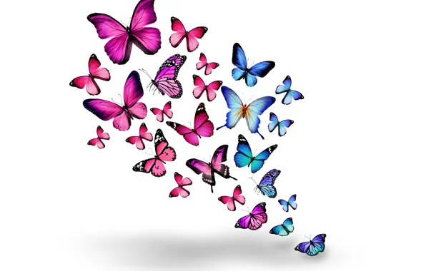 Butterfly, pink, blue, blue, pink, butterflies