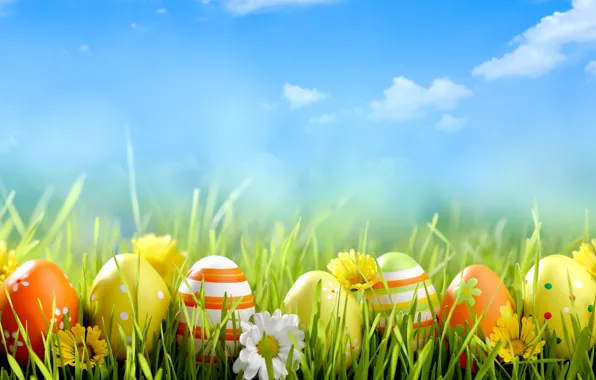 Picture flowers, holiday, eggs, Easter, weed