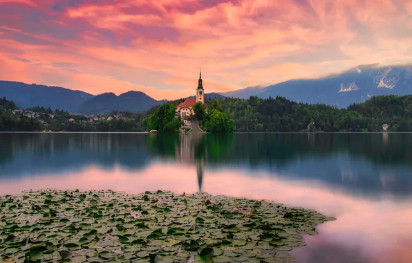 Forest, leaves, clouds, sunset, mountains, fog, lake, reflection