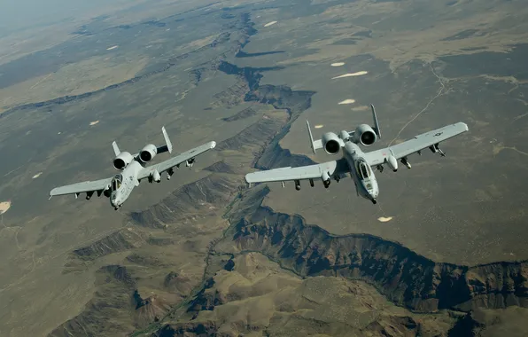Landscape, pair, A-10, stormtroopers, Thunderbolt II, The thunderbolt II