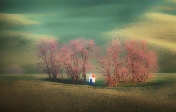 Field, the sky, grass, clouds, trees, strip, hills, branch