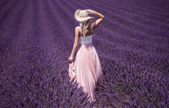 Field, summer, girl, light, flowers, pose, mood, back