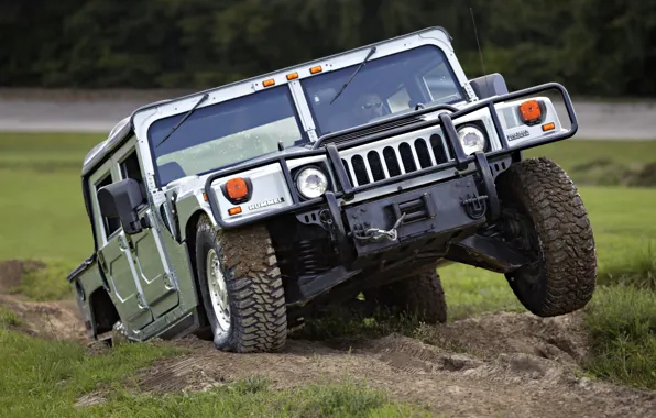Picture forest, grass, SUV, Hammer, Hummer, hill, four-wheel drive