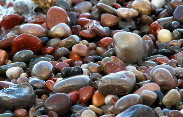 Picture sea, stones, shore, color