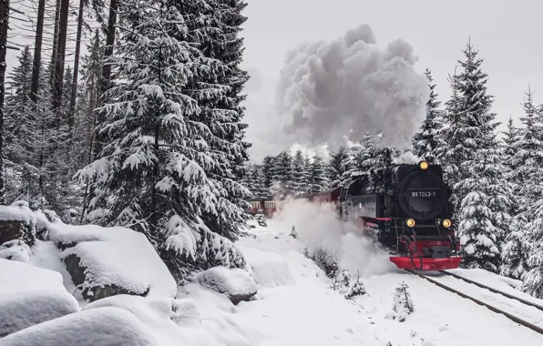 Winter, forest, train