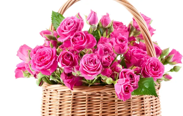 Picture flowers, basket, roses, bouquet, pink, basket, beautiful