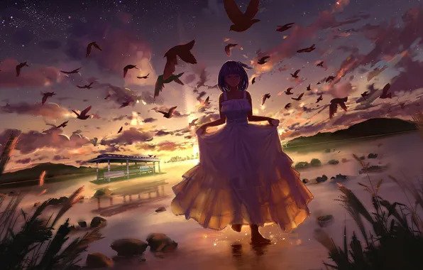 Picture the sky, girl, stars, clouds, sunset, mountains, birds, nature