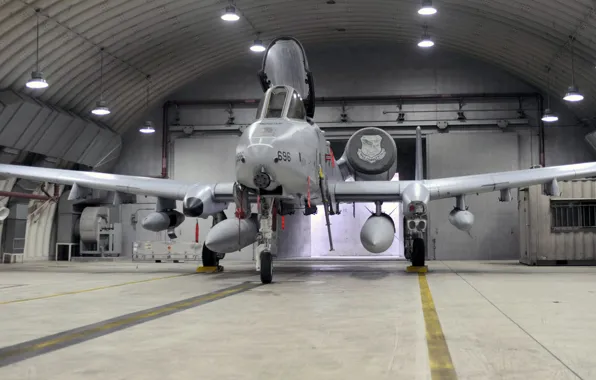 Picture hangar, attack, American, A-10, Fairchild, Thunderbolt II, Republic, single