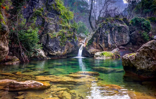 Trees, lake, stream, stones