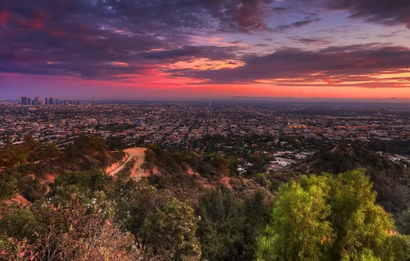 Picture road, trees, sunset, the city, lights, home, street, Los Angeles