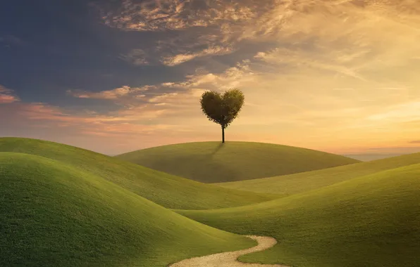 Picture creative, tree, hills, track, crown, the heart