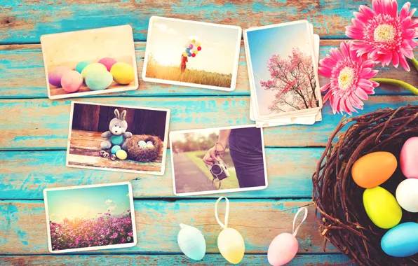 Flowers, photo, eggs, spring, camera, colorful, Easter, gerbera