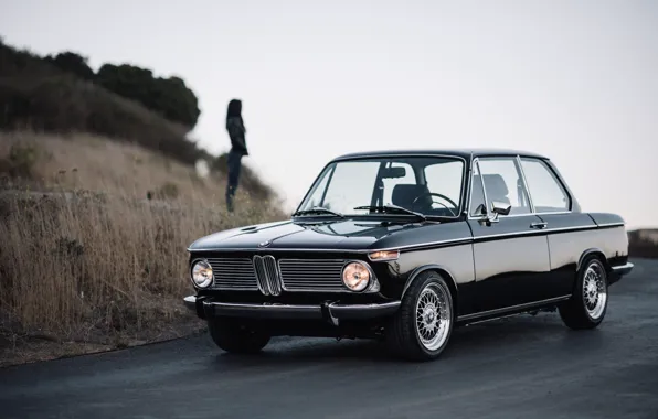 BMW, 2002, E10