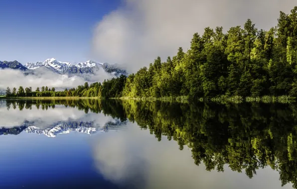 Forest, mountains, lake, reflection, New Zealand, New Zealand, Lake Matheson, Southern Alps