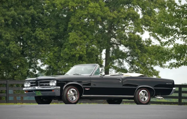Convertible, Pontiac, GTO, Pontiac, 1964, retro cars, Convertible, LeMans