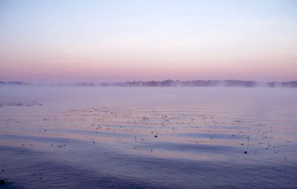 Water, surface, river, dawn, fishing, morning, haze, quiet