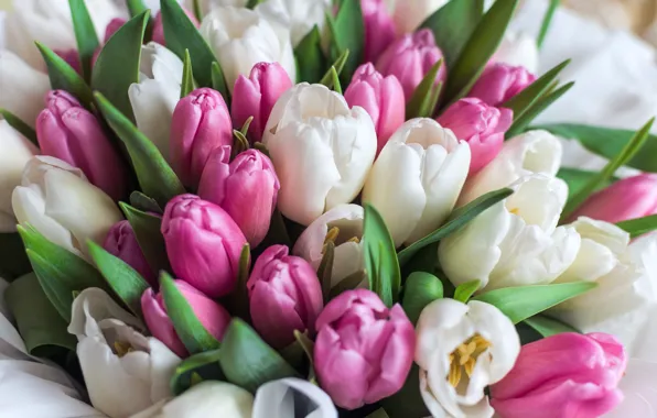 Picture bouquet, tulips, colorful