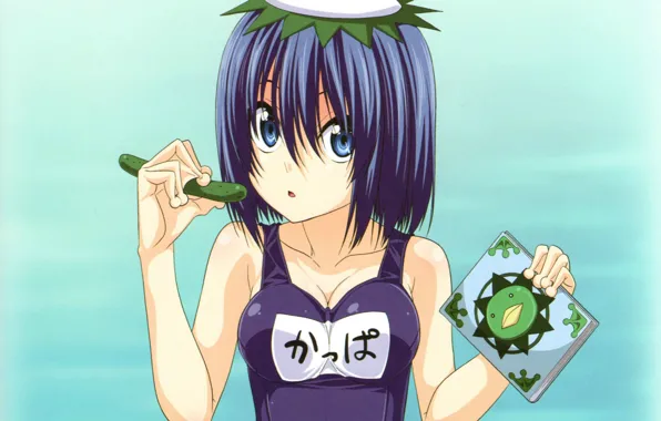 Picture swimsuit, water, being, cucumber, book, blue hair, Kappa, youkai