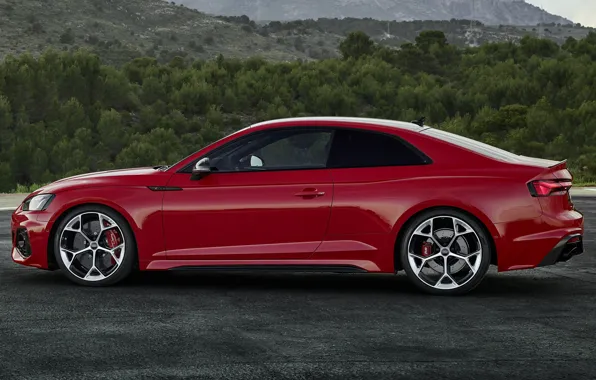 Picture side view, Coupe, Competition, Audi RS 5