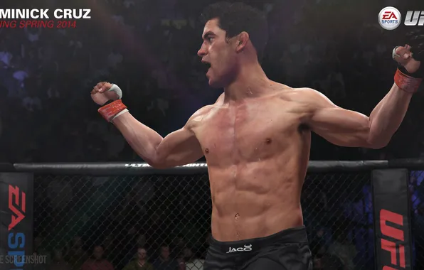 Picture UFC, EA Sports, ps4, xbox one, 2015, Dominick Cruz