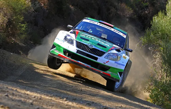 Picture Auto, Sport, Lights, WRC, Rally, The front, Skoda, Fabia